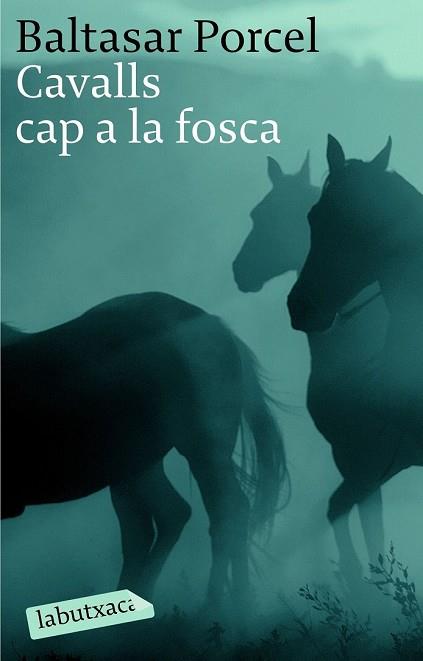CAVALLS CAP A LA FOSCA | 9788496863040 | PORCEL, BALTASAR | Llibreria Drac - Llibreria d'Olot | Comprar llibres en català i castellà online