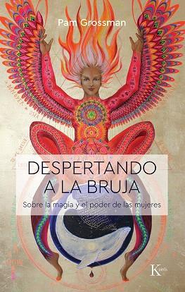 DESPERTANDO A LA BRUJA | 9788499887586 | GROSSMAN, PAM | Llibreria Drac - Llibreria d'Olot | Comprar llibres en català i castellà online