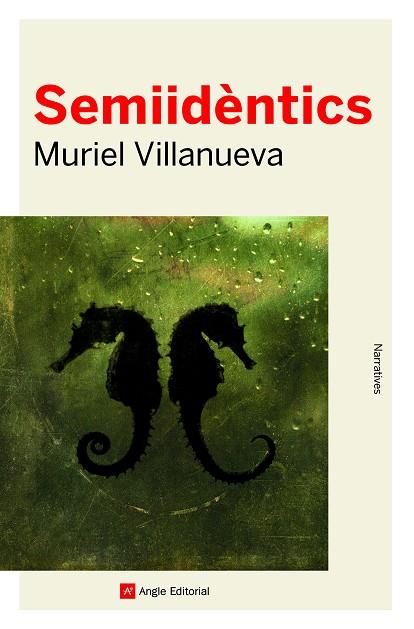 SEMIIDÈNTICS | 9788418197437 | VILLANUEVA, MURIEL | Llibreria Drac - Llibreria d'Olot | Comprar llibres en català i castellà online