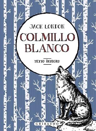 COLMILLO BLANCO | 9788417127534 | LONDON, JACK | Llibreria Drac - Llibreria d'Olot | Comprar llibres en català i castellà online