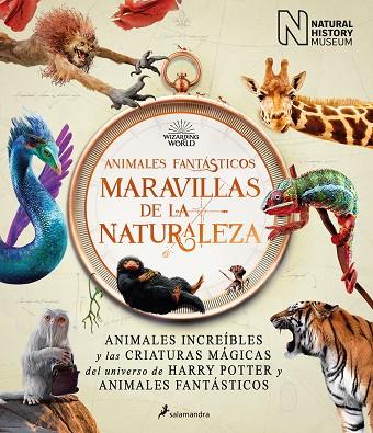 ANIMALES FANTÁSTICOS. MARAVILLAS DE LA NATURALEZA | 9788418637056 | THE NATIONAL HISTORY MUSEUM | Llibreria Drac - Llibreria d'Olot | Comprar llibres en català i castellà online