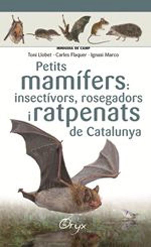PETITS MAMÍFERS: INSECTÍVORS, ROSEGADORS I RATPENATS DE CATALUNYA | 9788490348956 | LLOBET, TONI; FLAQUER, CARLES; TORRE, IGNASI | Llibreria Drac - Llibreria d'Olot | Comprar llibres en català i castellà online