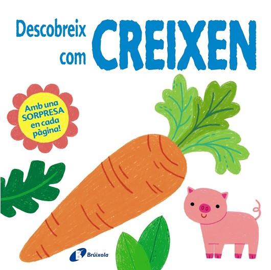 DESCOBREIX COM CREIXEN | 9788499062655 | HULME, KERRI-ANN | Llibreria Drac - Llibreria d'Olot | Comprar llibres en català i castellà online