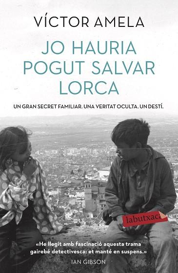 JO HAURIA POGUT SALVAR LORCA | 9788417423001 | AMELA, VÍCTOR | Llibreria Drac - Llibreria d'Olot | Comprar llibres en català i castellà online