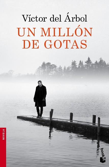 MILLÓN DE GOTAS, UN | 9788423349418 | DEL ÁRBOL, VÍCTOR | Llibreria Drac - Llibreria d'Olot | Comprar llibres en català i castellà online