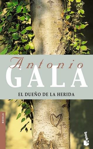 DUEÑO DE LA HERIDA, EL | 9788408052159 | GALA, ANTONIO | Llibreria Drac - Llibreria d'Olot | Comprar llibres en català i castellà online