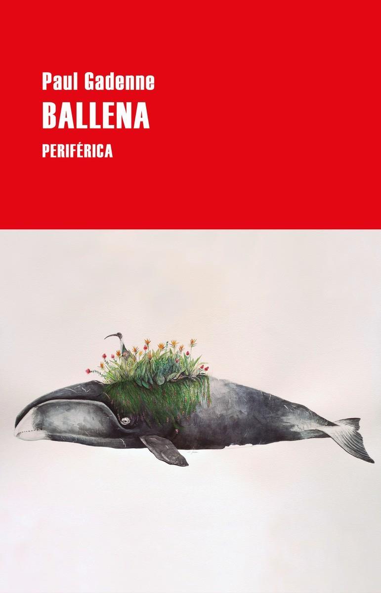 BALLENA | 9788418264542 | GADENNE, PAUL | Llibreria Drac - Llibreria d'Olot | Comprar llibres en català i castellà online