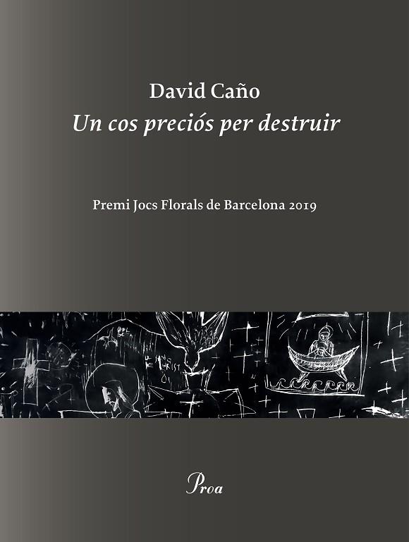 COS PRECIÓS PER DESTRUIR, UN | 9788475887999 | CAÑO, DAVID | Llibreria Drac - Llibreria d'Olot | Comprar llibres en català i castellà online