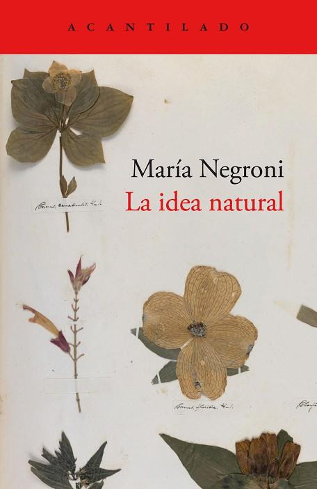 IDEA NATURAL, LA | 9788419036872 | NEGRONI, MARÍA | Llibreria Drac - Librería de Olot | Comprar libros en catalán y castellano online