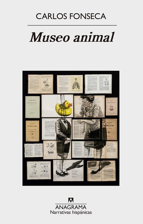 MUSEO ANIMAL | 9788433998408 | FONSECA, CARLOS | Llibreria Drac - Llibreria d'Olot | Comprar llibres en català i castellà online