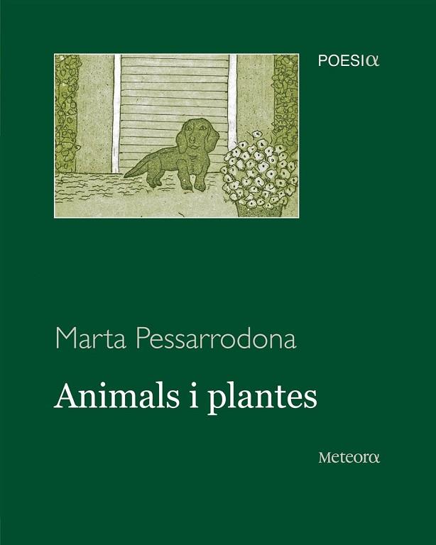 ANIMALS I PLANTES | 9788495623973 | PESSARRODONA, MARTA | Llibreria Drac - Llibreria d'Olot | Comprar llibres en català i castellà online