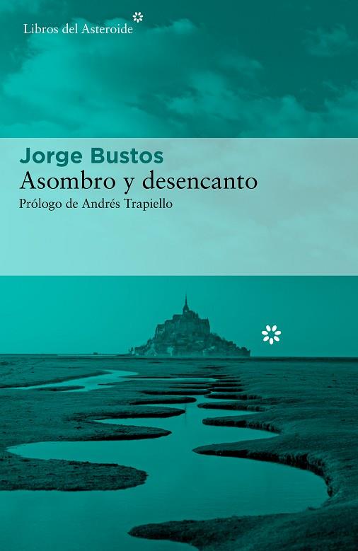 ASOMBRO Y DESENCANTO | 9788417977573 | BUSTOS, JORGE | Llibreria Drac - Llibreria d'Olot | Comprar llibres en català i castellà online