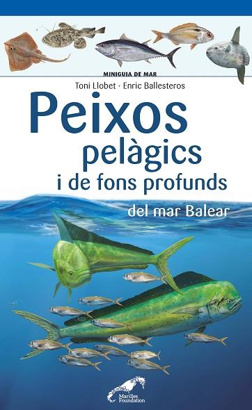 PEIXOS PELÀGICS I DE FONS PROFUNDS DEL MAR BALEAR | 9788490349397 | LLOBET, TONI; BALLESTEROS, ENRIC | Llibreria Drac - Llibreria d'Olot | Comprar llibres en català i castellà online