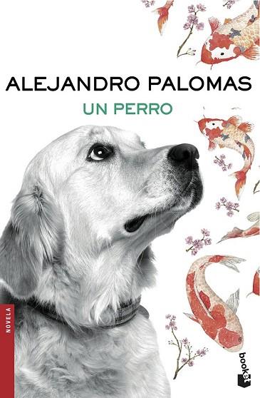 PERRO, UN | 9788423351862 | PALOMAS, ALEJANDRO | Llibreria Drac - Llibreria d'Olot | Comprar llibres en català i castellà online
