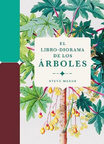 LIBRO-DIORAMA DE LOS ÁRBOLES, EL | 9788412386196 | MARSH, STEVE | Llibreria Drac - Librería de Olot | Comprar libros en catalán y castellano online