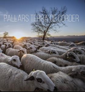 PALLARS TERRA DE CORDER | 9788412080193 | AA.DD. | Llibreria Drac - Librería de Olot | Comprar libros en catalán y castellano online