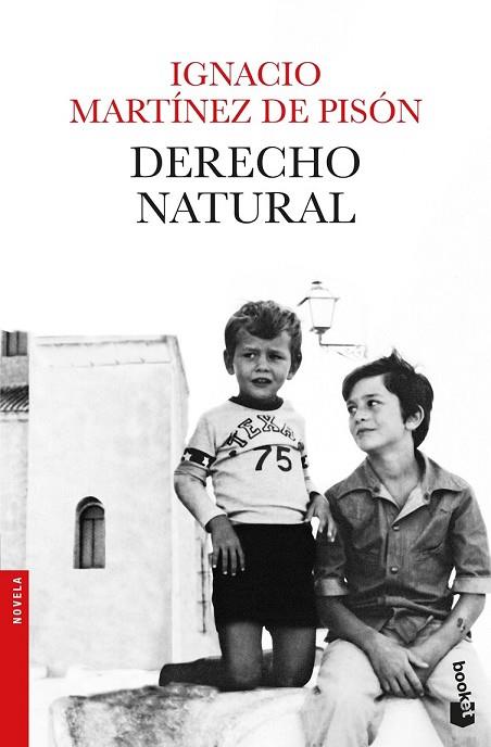 DERECHO NATURAL | 9788432234279 | MARTÍNEZ DE PISÓN, IGNACIO | Llibreria Drac - Llibreria d'Olot | Comprar llibres en català i castellà online