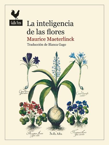 INTELIGENCIA DE LAS FLORES, LA | 9788419168016 | MAETERLINCK, MAURICE | Llibreria Drac - Llibreria d'Olot | Comprar llibres en català i castellà online