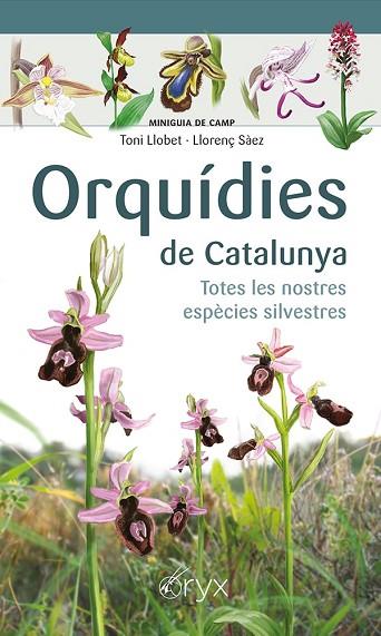 ORQUÍDIES DE CATALUNYA | 9788413560403 | SÀEZ, LLORENÇ; LLOBET, TONI | Llibreria Drac - Llibreria d'Olot | Comprar llibres en català i castellà online