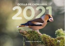CALENDARI 2021 OCELLS DE CATALUNYA | 9781901175561 | MARTORELL, CARLES | Llibreria Drac - Librería de Olot | Comprar libros en catalán y castellano online