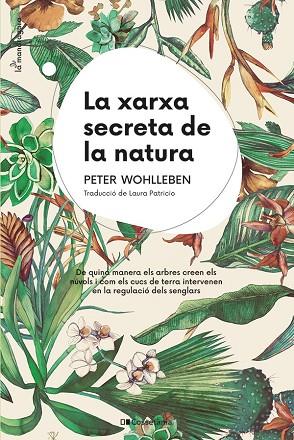 XARXA SECRETA DE LA NATURA, LA | 9788413562872 | WOHLLEBEN, PETER | Llibreria Drac - Librería de Olot | Comprar libros en catalán y castellano online