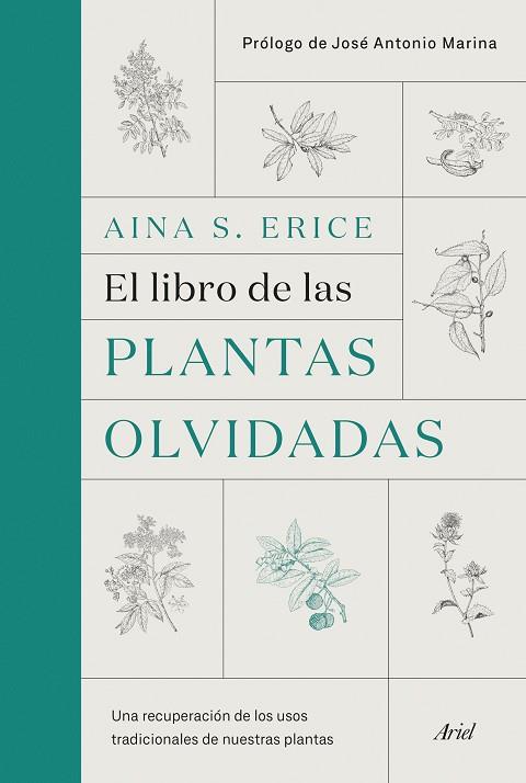 LIBRO DE LAS PLANTAS OLVIDADAS | 9788434431461 | ERICE, AINA S. | Llibreria Drac - Librería de Olot | Comprar libros en catalán y castellano online