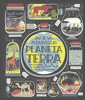 MERAVELLÓS PLANETA TERRA, EL | 9788491378778 | IGNOTOFSKY, RACHEL | Llibreria Drac - Llibreria d'Olot | Comprar llibres en català i castellà online