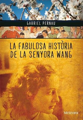 FABULOSA HISTORIA DE LA SENYORA WANG, LA | 9788492874354 | PERNAU, GABRIEL | Llibreria Drac - Llibreria d'Olot | Comprar llibres en català i castellà online
