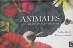 ANIMALES QUE HACEN COSAS EN SILENCIO | 9788415250937 | LUCCIANI, REBECCA; BOSCH, LOLITA | Llibreria Drac - Llibreria d'Olot | Comprar llibres en català i castellà online