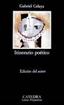 ITINERARIO POETICO | 9788437600321 | CELAYA, GABRIEL | Llibreria Drac - Llibreria d'Olot | Comprar llibres en català i castellà online