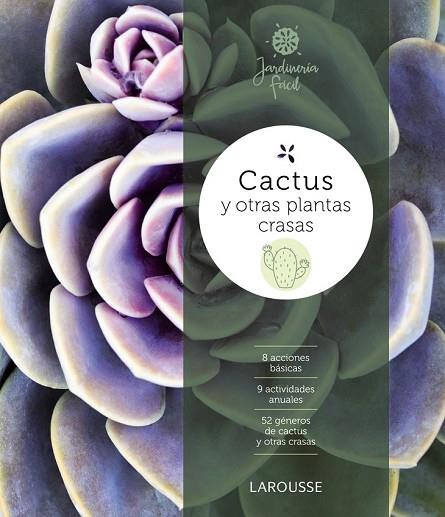 CACTUS Y OTRAS PLANTAS CRASAS | 9788416641857 | FONT, JORDI | Llibreria Drac - Llibreria d'Olot | Comprar llibres en català i castellà online