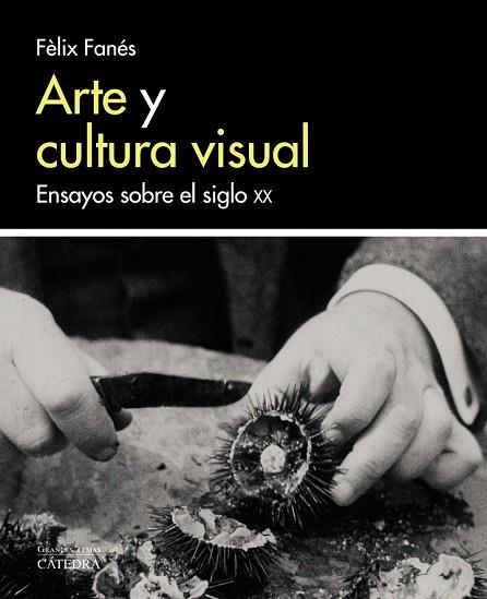 ARTE Y CULTURA VISUAL | 9788437638058 | FANÉS, FÈLIX | Llibreria Drac - Librería de Olot | Comprar libros en catalán y castellano online