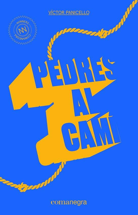 PEDRES AL CAMÍ | 9788416605521 | PANICELLO, VÍCTOR | Llibreria Drac - Llibreria d'Olot | Comprar llibres en català i castellà online