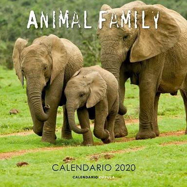 CALENDARIO ANIMAL FAMILY 2020 | 9788448026189 | AA.DD. | Llibreria Drac - Llibreria d'Olot | Comprar llibres en català i castellà online