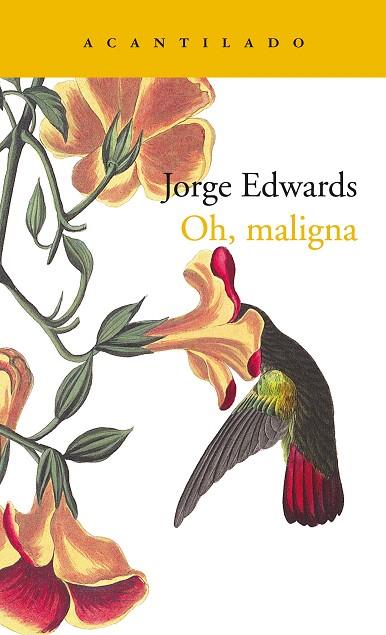 OH, MALIGNA | 9788417902070 | EDWARDS, JORGE | Llibreria Drac - Llibreria d'Olot | Comprar llibres en català i castellà online