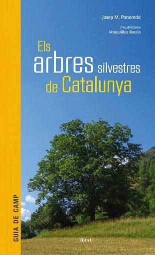 ARBRES SILVESTRES DE CATALUNYA, ELS | 9788415885856 | PANAREDA, JOSEP M | Llibreria Drac - Llibreria d'Olot | Comprar llibres en català i castellà online