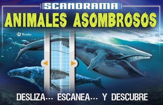SCANORAMA. ANIMALES ASOMBROSOS | 9788469623657 | CLAYBOURNE, ANNA | Llibreria Drac - Llibreria d'Olot | Comprar llibres en català i castellà online