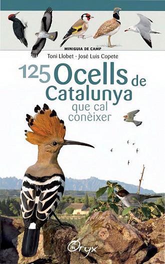 125 OCELLS DE CATALUNYA QUE CAL CONEIXER | 9788490346747 | LLOBET, TONI; COPETE, JOSÉ LUIS | Llibreria Drac - Llibreria d'Olot | Comprar llibres en català i castellà online