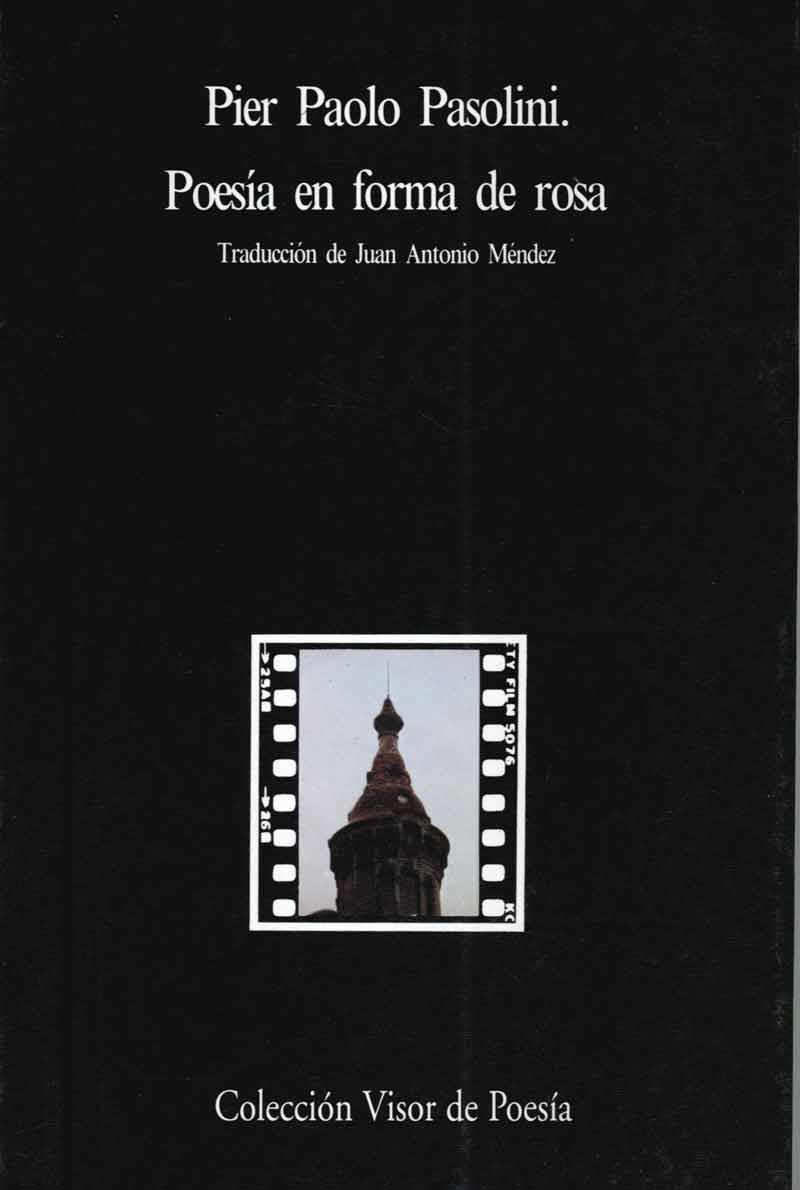 POESIA EN FORMA DE ROSA | 9788475221632 | PASOLINI, PIER PAOLO | Llibreria Drac - Llibreria d'Olot | Comprar llibres en català i castellà online