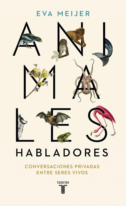 ANIMALES HABLADORES | 9788430623600 | MEIJER, EVA | Llibreria Drac - Llibreria d'Olot | Comprar llibres en català i castellà online