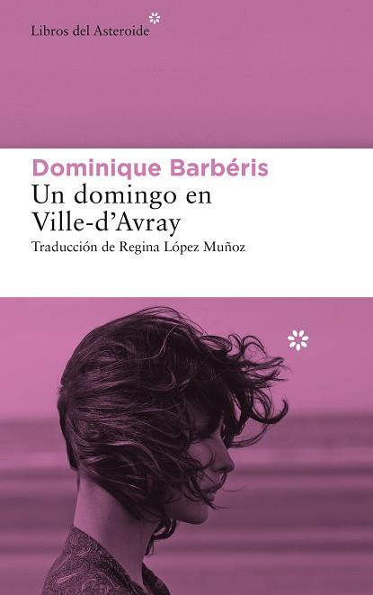 UN DOMINGO EN VILLE-D’AVRAY | 9788417977634 | BARBÉRIS, DOMINIQUE | Llibreria Drac - Llibreria d'Olot | Comprar llibres en català i castellà online