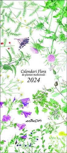 CALENDARI 2024 FLORA DE PLANTES MEDICINALS | 9788418900624 | VILALDAMA, PERE | Llibreria Drac - Llibreria d'Olot | Comprar llibres en català i castellà online