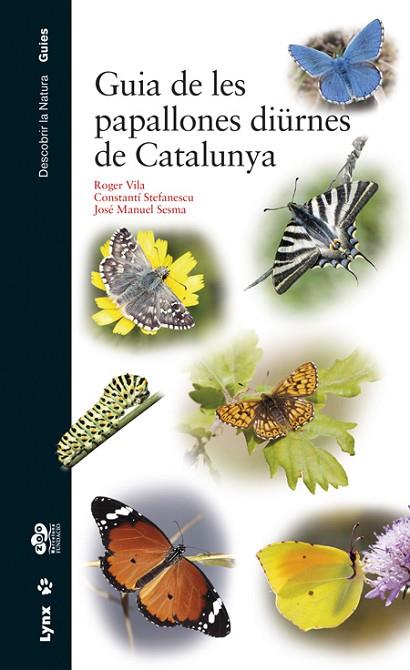 GUIA DE LES PAPALLONES DIÜRNES DE CATALUNYA | 9788416728060 | AA.DD. | Llibreria Drac - Llibreria d'Olot | Comprar llibres en català i castellà online