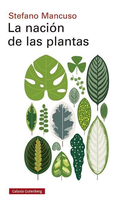 NACIÓN DE LAS PLANTAS, LA | 9788417971557 | MANCUSO, STEFANO | Llibreria Drac - Llibreria d'Olot | Comprar llibres en català i castellà online