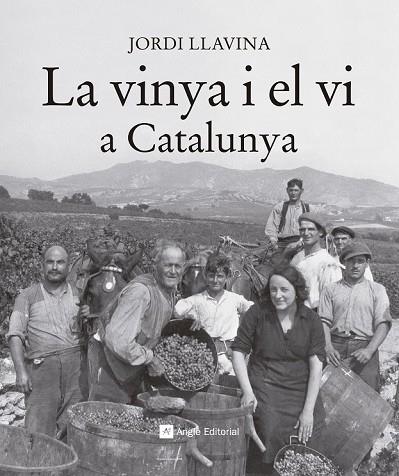 VINYA I EL VI A CATALUNYA, LA | 9788416139187 | LLAVINA, JORDI | Llibreria Drac - Llibreria d'Olot | Comprar llibres en català i castellà online