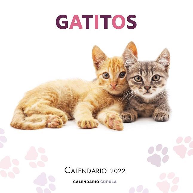 CALENDARIO GATITOS 2022 | 9788448028695 | AA.DD. | Llibreria Drac - Llibreria d'Olot | Comprar llibres en català i castellà online