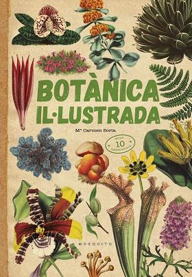 BOTÀNICA IL·LUSTRADA | 9788419095091 | SORIA, CARMEN | Llibreria Drac - Llibreria d'Olot | Comprar llibres en català i castellà online