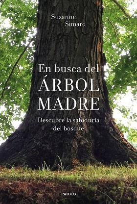 EN BUSCA DEL ÁRBOL MADRE | 9788449338311 | SIMARD, SUZANNE | Llibreria Drac - Llibreria d'Olot | Comprar llibres en català i castellà online