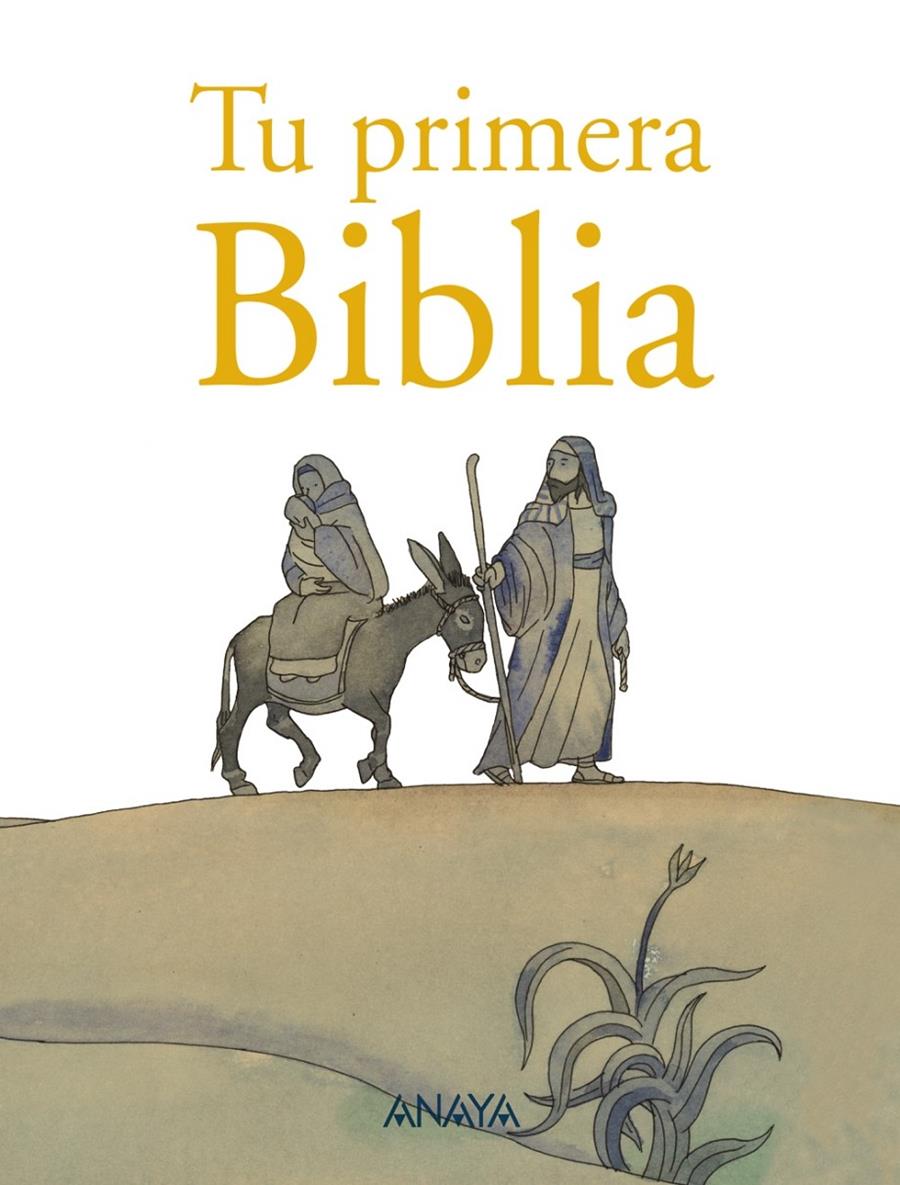 TU PRIMERA BIBLIA | 9788467862645 | MUÑOZ, VICENTE | Llibreria Drac - Llibreria d'Olot | Comprar llibres en català i castellà online