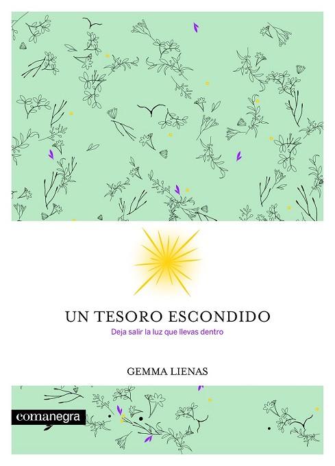 UN TESORO ESCONDIDO | 9788416605354 | LIENAS, GEMMA | Llibreria Drac - Llibreria d'Olot | Comprar llibres en català i castellà online